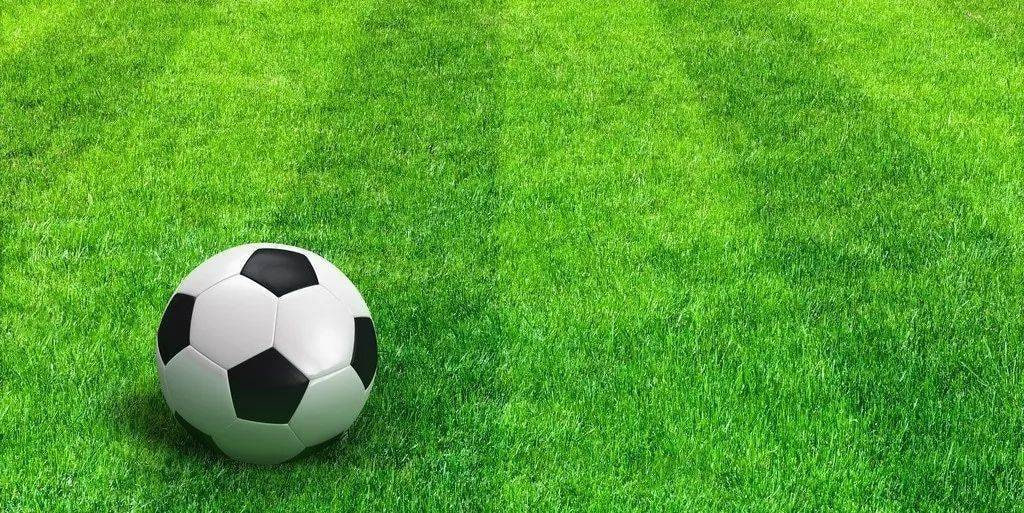 今日足彩专家推荐分析数据图表展示